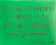 A Year in Sweden