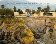 American Prospects (Revised Edition)