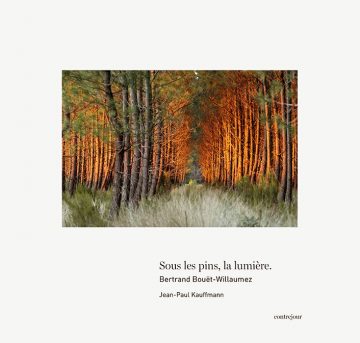 Sous les pins, la lumière