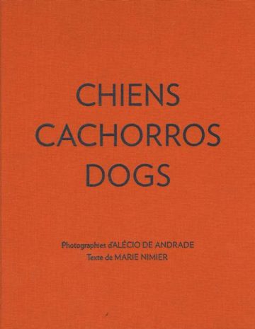 Chiens / Cachorros / Dogs