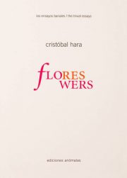 The trivial essays 7: Flores / Flowers