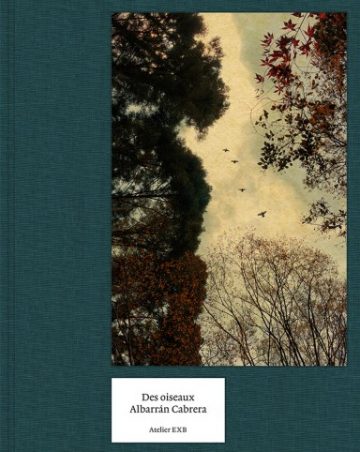 Des Oiseaux (French edition)