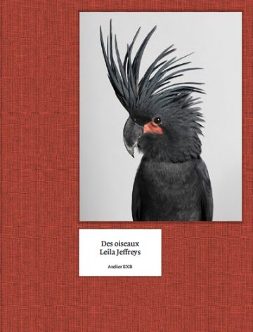 Des Oiseaux (French edition)