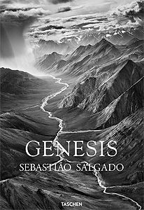 Genesis (English edition)