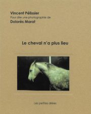 Le cheval n’a plus lieu