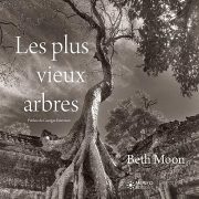 Les plus vieux arbres