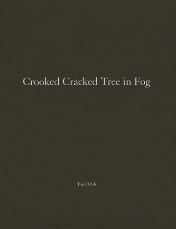 One Picture Book #60: Crooked Cracked Tree in Fog