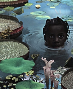 Ruud van Empel: 25 years of photo works 1995-2020