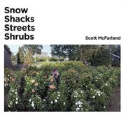 Snow, Shacks, Streets, Shrubs