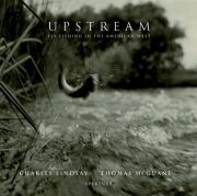 Upstream