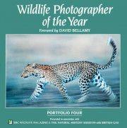 Wildlife Photographer of the Year: Portfolio 4