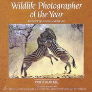 Wildlife Photographer of the Year: Portfolio 6